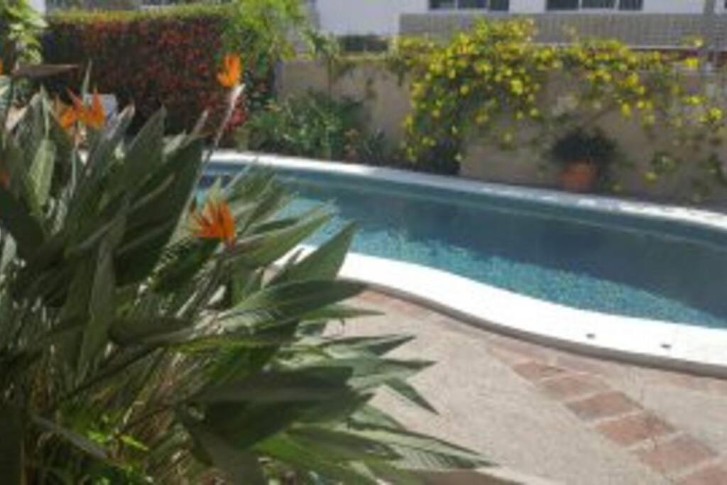 Apartmento Con Alberca A 50 Mt Del Mar La Licha Mazatlán Esterno foto